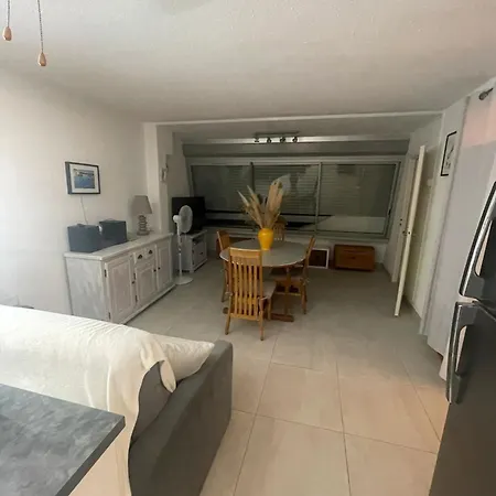 Au Grau-du-roi Avec Piscine Partagee Appartement *